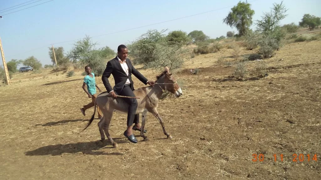 Gen. Coordinator riding on a Donkey in desert of Illela in Sokoto